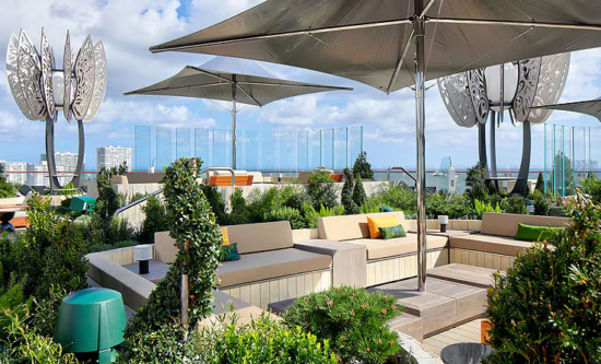 Rooftop Garden