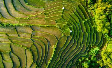 Indonesia, Asia
