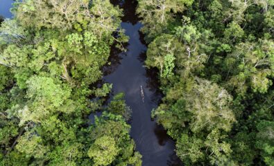 Amazon River