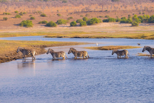 Zambezi Queen